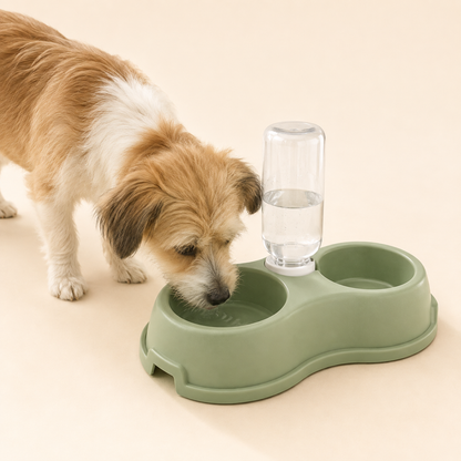Small dog drinking from the sage green double bowl feeding station, gravity water bottle filled