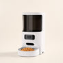 Distributeur automatique de croquettes